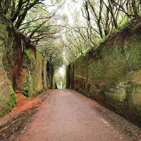 Monte 度假居 Chinamada